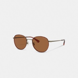 Amber Coach Metal Windsor Round Sunglasses | COH867073