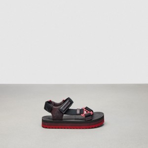 Black/Oxblood Multi Coach Strappy Sandal | COH865895