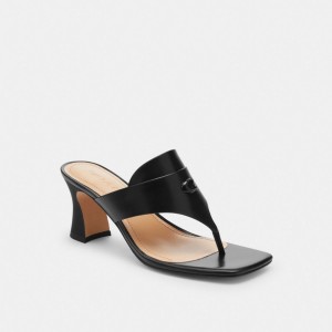Black Coach Bree Sandal | COH865866
