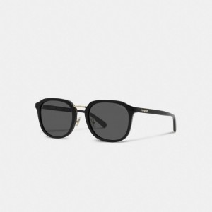 Black Coach Rounded Geometric Sunglasses | COH866374
