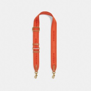 Brass/Orange Rust Multi Coach Colorblock Webbing Strap | COH866470