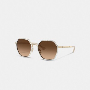 Brown Gradient Coach Embellished Narrow Metal Hexagon Sunglasses | COH866379