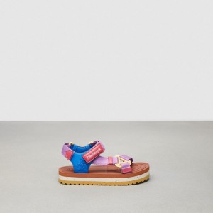 Burnished Amber/Violet Multi Coach Strappy Sandal | COH865873