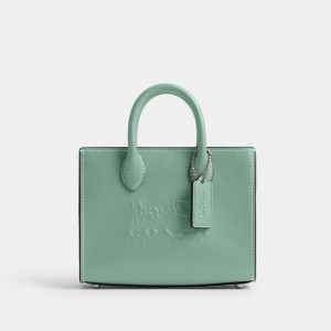 Calf Leather/Silver/Aquamarine Coach Ace Tote Bag 17 | COH865278