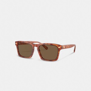 Caramel Tortoise Coach Keyhole Square Sunglasses | COH867072