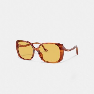 Caramel Tortoise Coach Swoop Temple Rectangle Sunglasses | COH866375