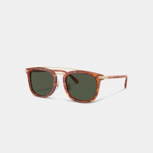 Caramel Tortoise Coach Wrap Around Hangtag Browbar Sunglasses | COH867070