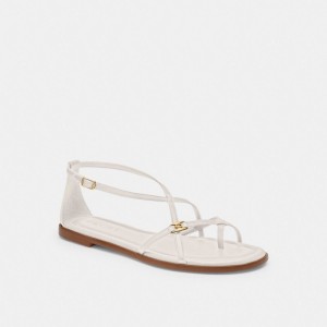 Chalk Coach Jenni Sandal | COH865876