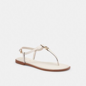 Chalk Coach Jessica Sandal | COH865862