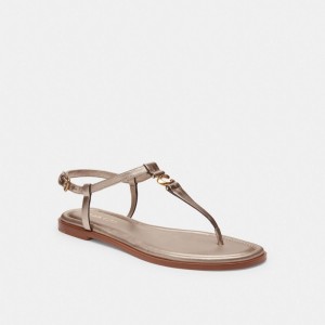 Champagne Coach Jessica Sandal | COH865903