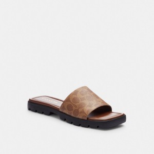 Coated Canvas/Khaki/Dark Saddle Coach Florence Sandal In Signature Canvas | COH865887
