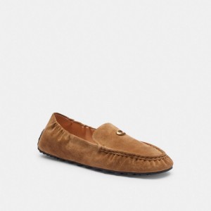 Coconut Coach Ronnie Loafer | COH865795