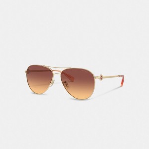 Dark Brown Coach Metal Aviator Sunglasses | COH866377