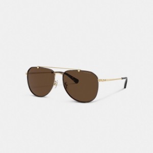 Dark Brown Coach Metal Windsor Pilot Sunglasses | COH867057