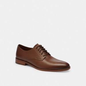Dark Saddle Coach Davi Derby | COH866839