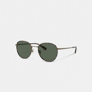 Dark Tortoise/Antique Gold Coach Metal Windsor Round Sunglasses | COH867061