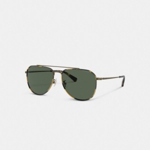 Dark Tortoise/Antique Gold Coach Metal Windsor Pilot Sunglasses | COH867078