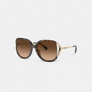 Dark Tortoise/Gold Coach Bandit Oversized Square Sunglasses | COH866384