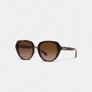 Dark Tortoise Coach Horse And Carriage Oversized Round Sunglasses | COH866376