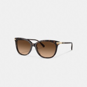 Dark Tortoise Coach Wrap Around Hangtag Square Sunglasses | COH866396