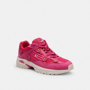 Dragon Fruit Coach C301 Sneaker With Tea Rose | COH865814
