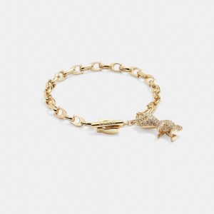Gold/Crystal Coach Pavé Rexy Signature Chain Bracelet | COH866148