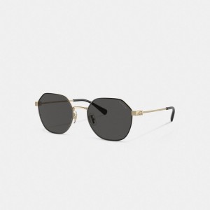 Gold Black Coach Hinged Geometric Round Sunglasses | COH867080