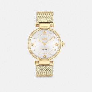 Gold Coach Cary Watch, 34 Mm | COH866248