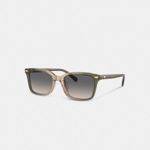 Green/Tan Gradient Coach Narrow Square Sunglasses | COH867083