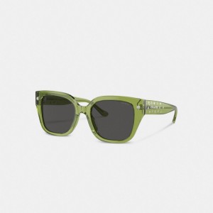 Green Coach Charms Oversized Square Sunglasses | COH866383