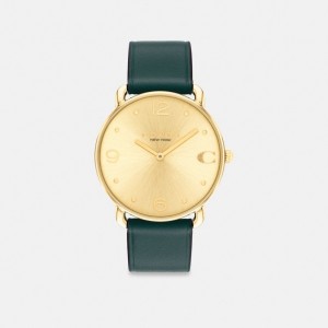 Green Coach Elliot Watch, 36 Mm | COH866234