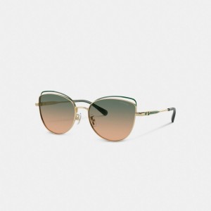 Green Yellow Gradient Coach Bandit Wire Oval Sunglasses | COH866349