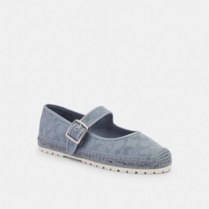 Grey Blue Coach Courtney Espadrille In Signature Canvas | COH865768