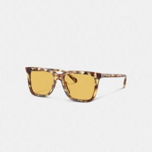 Honey Tortoise Coach Signature Square Sunglasses | COH866398