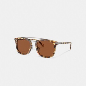 Honey Tortoise Coach Wrap Around Hangtag Browbar Sunglasses | COH867086