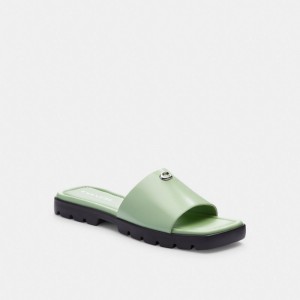 Leather/Pale Pistachio Coach Florence Sandal | COH865854