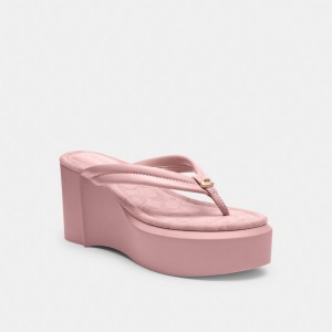 Light Rose Coach Franki Flip Flop In Signature Jacquard | COH865875