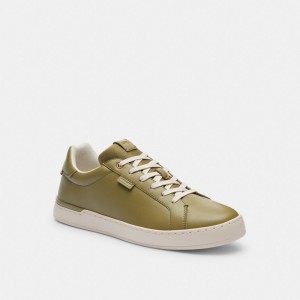 Moss Coach Lowline Low Top Sneaker | COH866813