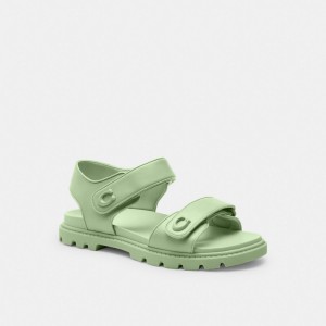 Pale Pistachio Coach Brynn Sandal | COH865898