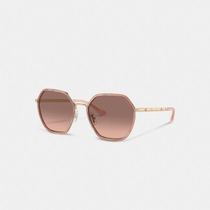 Pearlized Pink Coach Embellished Narrow Metal Hexagon Sunglasses | COH866326