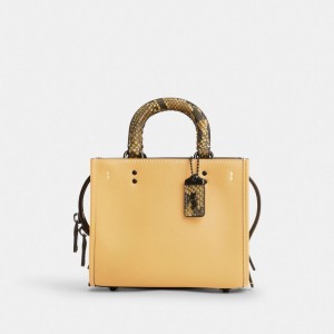 Pewter/Hay Coach Rogue 17 With Snakeskin Detail | COH865346