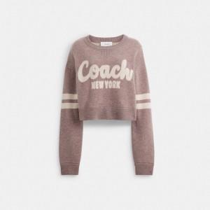 Pink Coach Cropped Sweater | COH865984