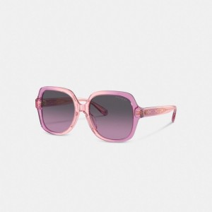 Pink Purple Gradient Coach Signature Ombré Oversized Square Sunglasses | COH866387