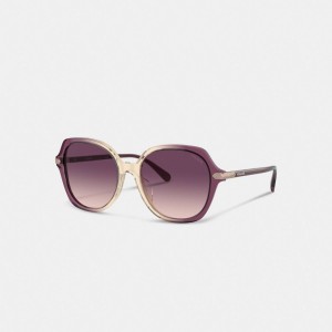 Purple/Beige Gradient Coach Wrap Around Hangtag Oversized Geometric Round Sunglasses | COH866373