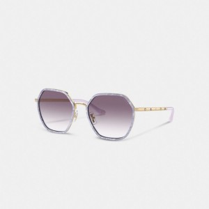 Purple Gradient Coach Embellished Narrow Metal Hexagon Sunglasses | COH866347