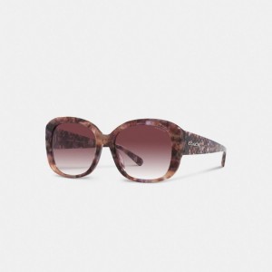 Purple Tortoise Coach Signature Oversized Square Sunglasses | COH866382