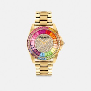 Rainbow Coach Greyson Watch, 36 Mm | COH866290