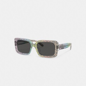 Rainbow Signature Coach Signature Oversized Rectangle Sunglasses | COH866358