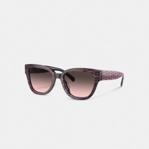 Ruby Pearlized Signature Coach Signature Round Sunglasses | COH866359