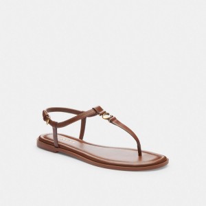Saddle Coach Jessica Sandal | COH865902